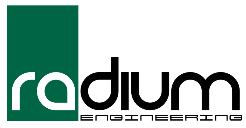 Radium Engineering 10AN インライン - 1/8NPT メスフィッティング