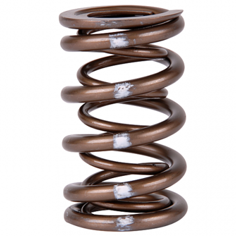 Skunk2 Pro XP K シリーズ バルブ スプリング セット | 2002~2006 アキュラ RSX、2001~2005 ホンダ シビック Si、2004~2008 アキュラ TSX (311-05-7380)