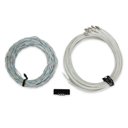 AEM EV アンシールド BMS サテライト インストールキット