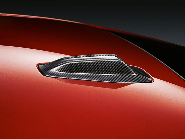 AutoTecknic G60 / G70 / G90 ドライカーボンルーフアンテナ