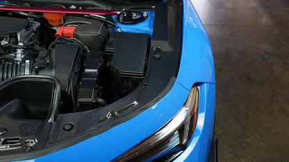 APR Performance カーボンファイバー ラジエータークーリングプレート - ホンダ FL5 シビック タイプR