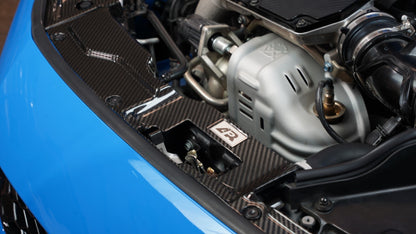 APR Performance カーボンファイバー ラジエータークーリングプレート - ホンダ FL5 シビック タイプR
