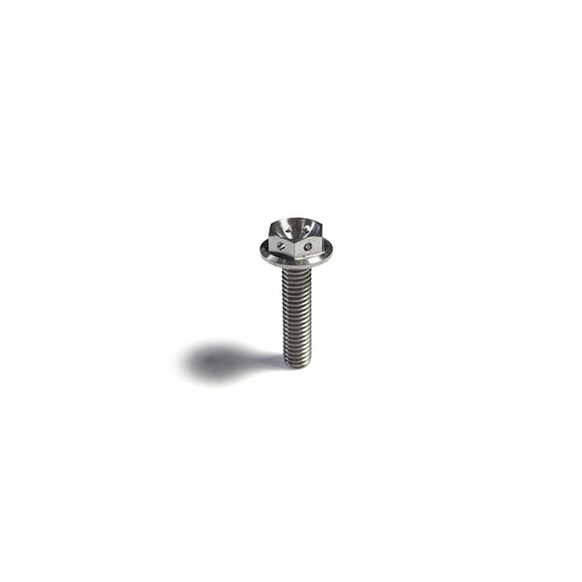 Ticon チタン フランジボルト M6x1.0 長さ10mm 六角10mm ワイヤー穴付