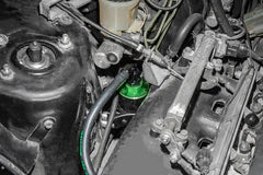 Radium Engineering ニッサン 6ミクロン マイクロガラス 燃料フィルターキット