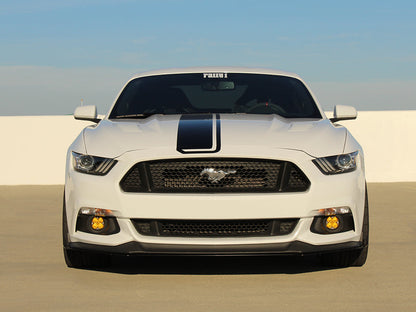 Rally Innovations 2015-2017 フォード マスタング ライトコンバージョン [FO-P8T-LCN-01]