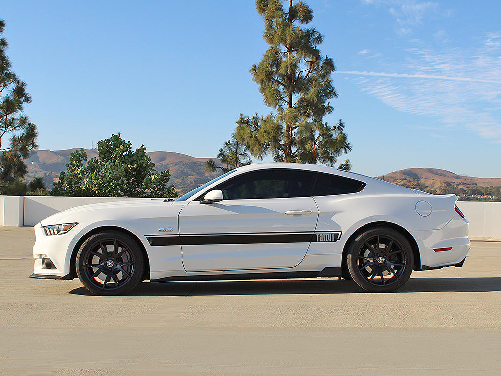 Rally Innovations 2015-2017 フォード マスタング サイドスプリッター [FO-P8T-SPL-01]