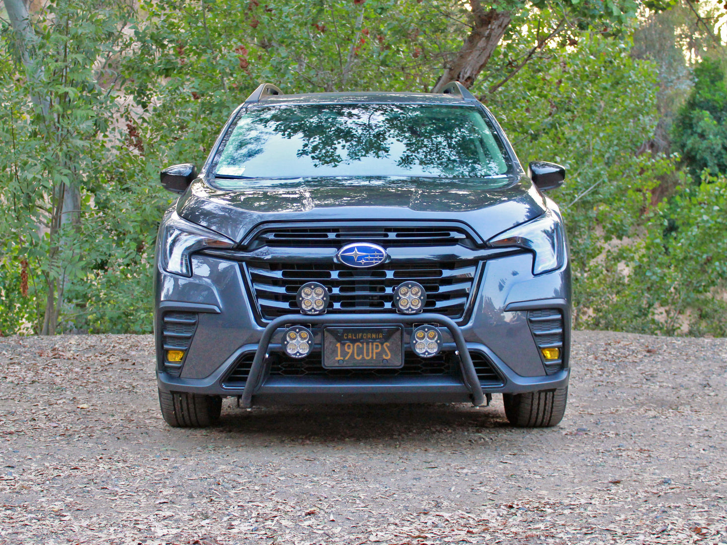 Rally Innovations 2023年以降 スバル アセント ラリー ライトバー [SU-WMA-RLB-01]