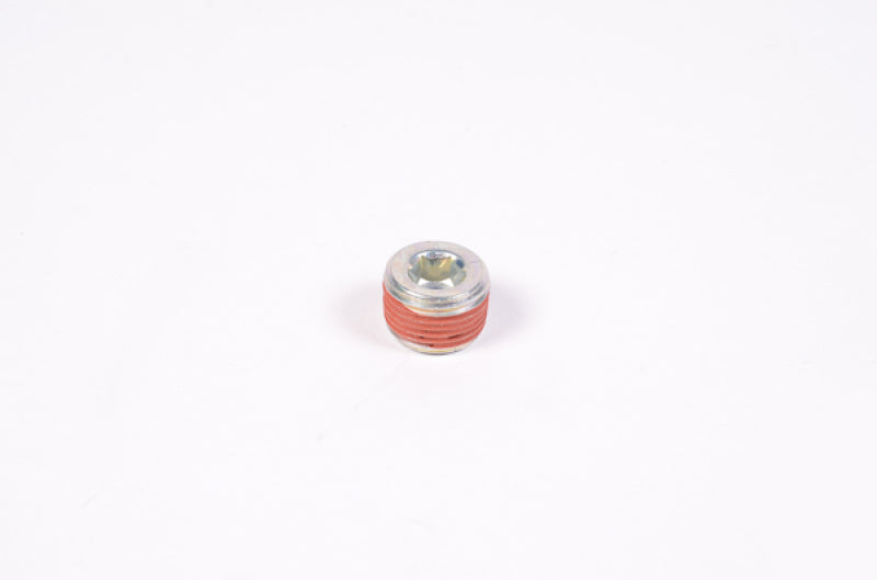 Radium Engineering 3/8インチ NPT プラグ