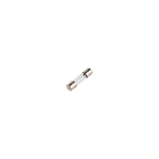 ARB 100-240V ACヒューズ - 4A F4L250V