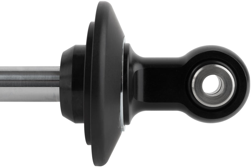 Photo - Close Up