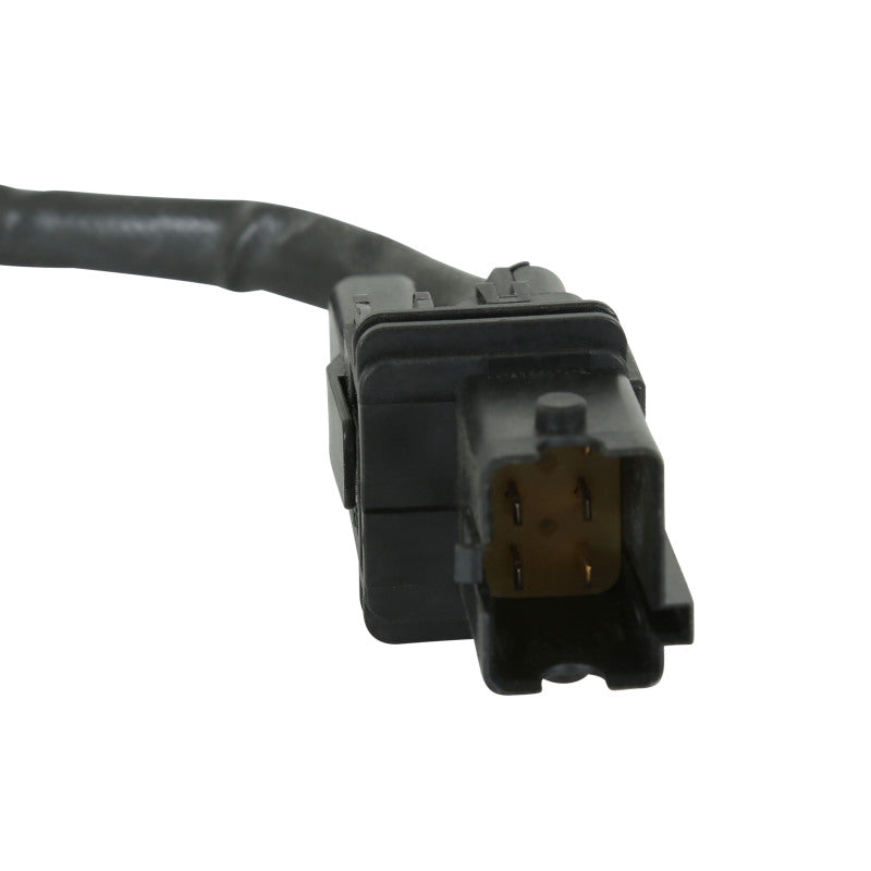 Photo - Close Up