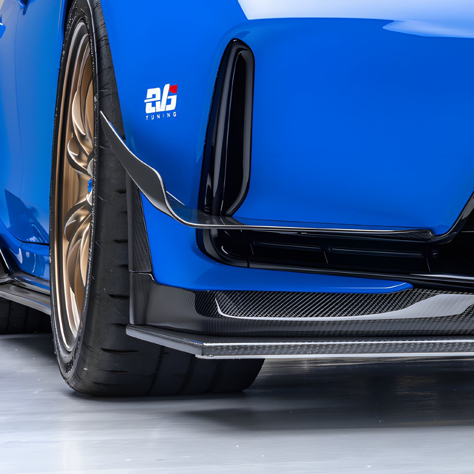 EVS Tuning カーボンフロントカナード - ホンダ FL5 シビック タイプR