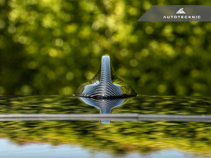 AutoTecknic BMW Gシャーシ プレLCI SAV ドライカーボンルーフアンテナカバー