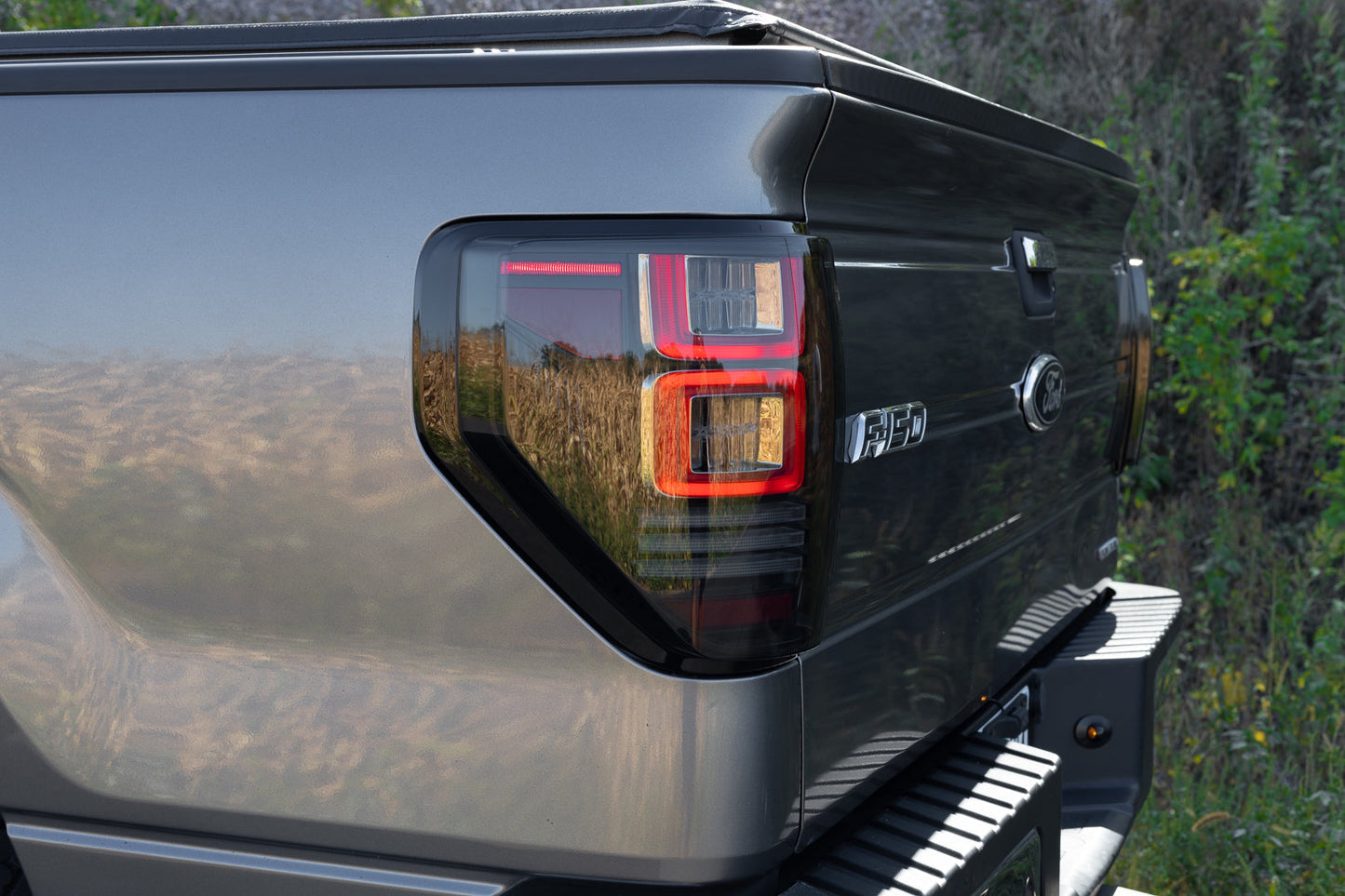 OLM セレクトライン LEDテールライト - 09-14 Ford F150用