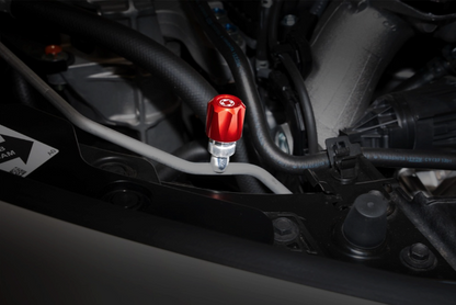 Verus Engineering エンジンルームキャップセット | 2022年以降 ホンダ FL5 シビック タイプR (A0766A)